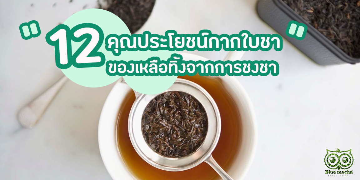 12 คุณประโยชน์กากใบชา ของเหลือทิ้งจากการชงชา