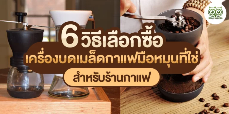 6 วิธีเลือกซื้อเครื่องบดเมล็ดกาแฟมือหมุน ที่ใช่สำหรับร้านกาแฟ