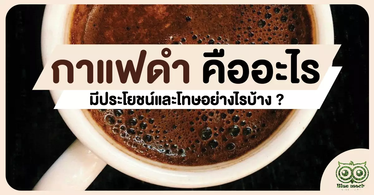 กาแฟดำ Black Coffee คืออะไร มีประโยชน์และโทษอย่างไรบ้าง ? - Bluemochateas