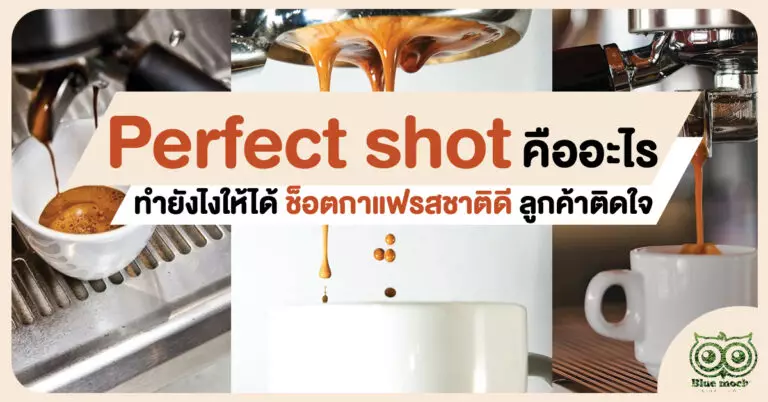 Perfect shot คืออะไร ทำยังไงให้ได้ช็อตกาแฟรสชาติดี