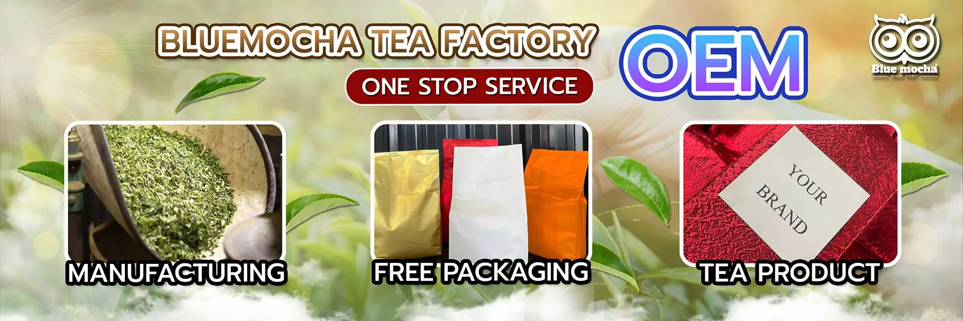 oem tea brand in chiang mai thailand working on oem