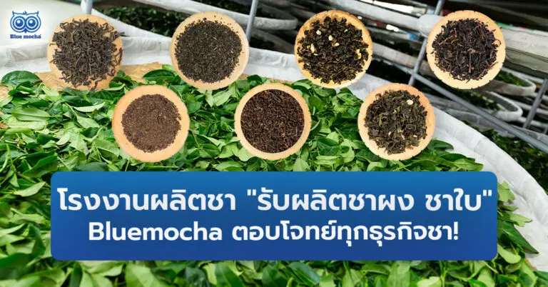 Bluemocha โรงคั่วชาเชียงใหม่ ผู้เชี่ยวชาญกว่า 18 ปี รับผลิตชาผง ชาใบ มีมาตรฐาน พร้อมบริการส่งออก 18+ ประเทศ เริ่มสร้างแบรนด์ชาของคุณวันนี้