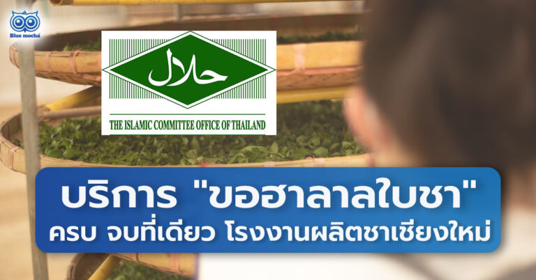โรงงานรับผลิตชาเชียงใหม่ บริการ 