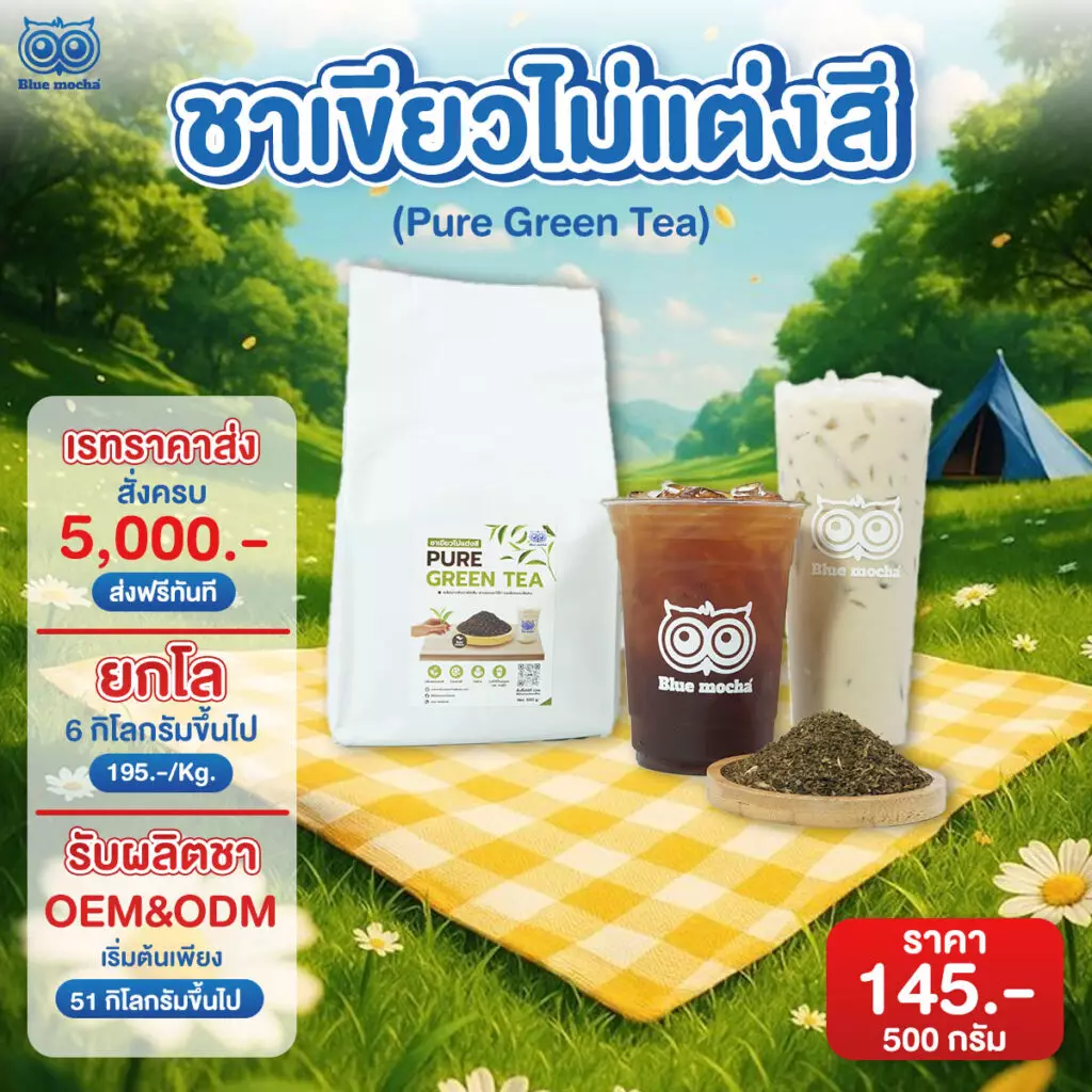 ชาเขียวไม่แต่งสี 16 ออนซ์