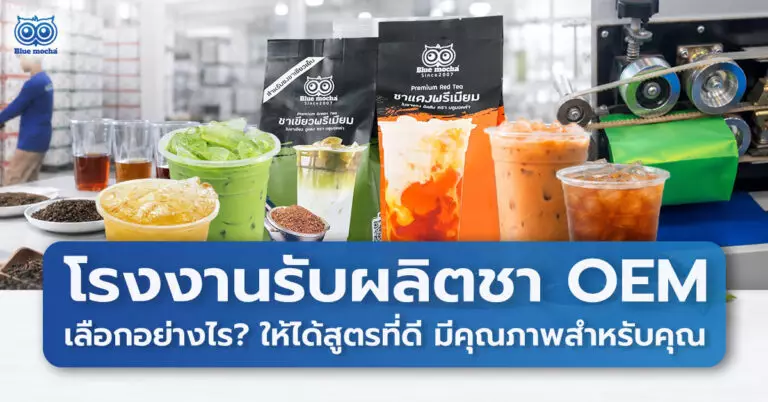 อินโฟกราฟิกสรุปสิทธิพิเศษสำหรับลูกค้า Bluemocha เช่น สะสมแต้ม ระบบ POS ฟรี คอร์สเรียนออนไลน์ โปรโมชัน ส่วนลด และของแถมสำหรับร้านเครื่องดื่ม